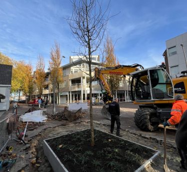 Een groene primeur in het centrum van Rosmalen
